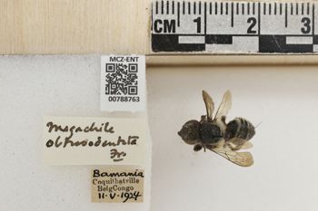 Media type: image;   Entomology 788763 Aspect: Labels
